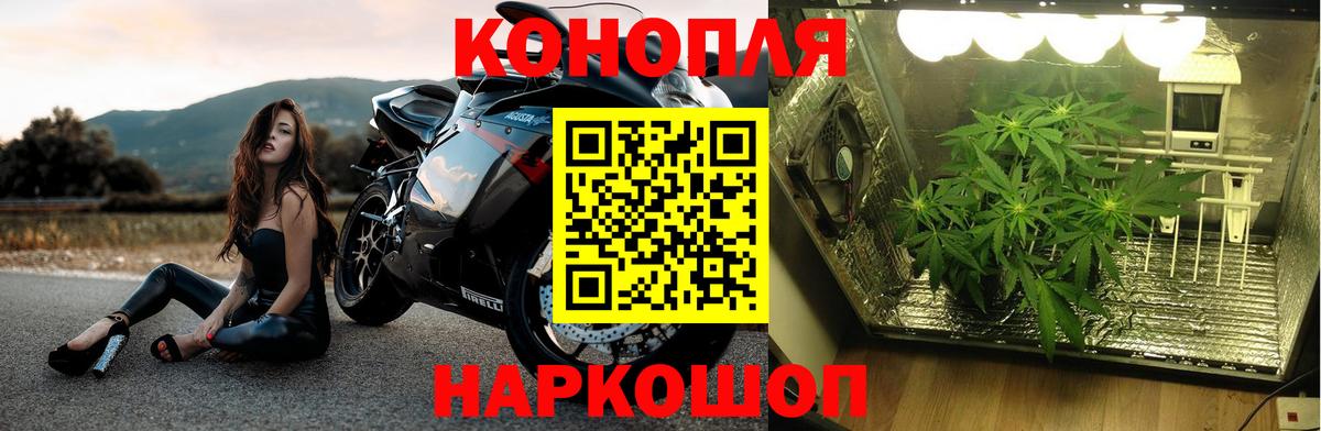 Конопля ГИДРОПОН  Вход с VPN  Бошки Шишки LSD WEED  МАРИХУАНА Bruce Banner  Костомукша 